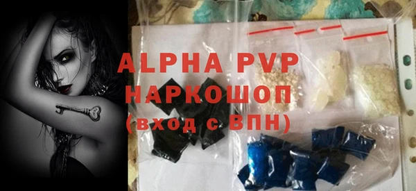 spice Вяземский