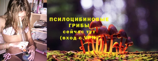 spice Вяземский