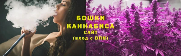 spice Вяземский