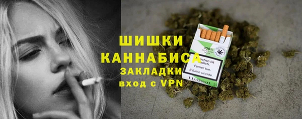 spice Вязьма