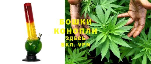 spice Вязьма