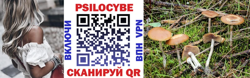 хочу   Камышин  Псилоцибиновые грибы мухоморы 