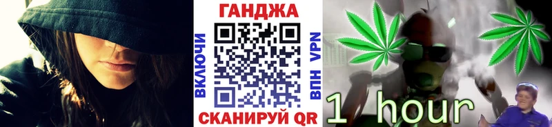 Канабис планчик хочу наркоту Камышин